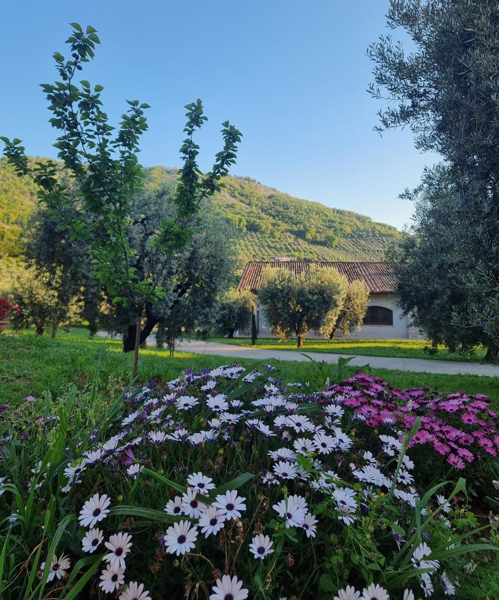 Casale Dei Priori Bed & Breakfast Rocca Massima Bagian luar foto